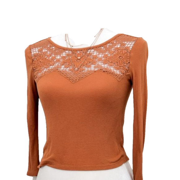 American Eagle Outfitters Tops - American Eagle Outfitters Embroidered Crochet Brown Crop Top